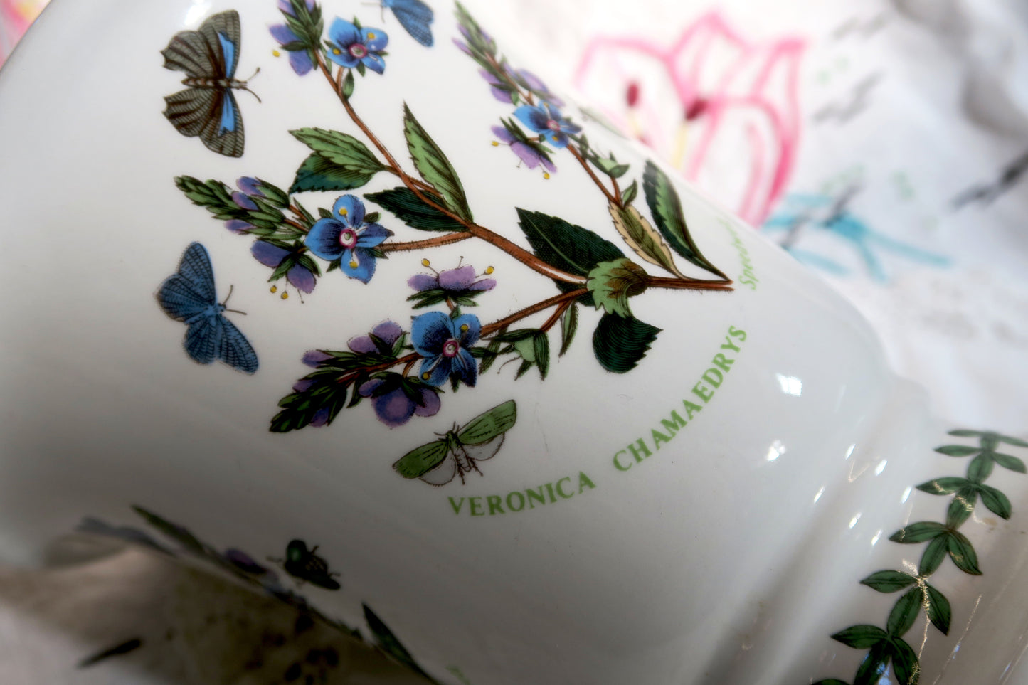 英國｜Portmeirion 老件花瓶 Veronica chamaedrys✤已蒙收藏